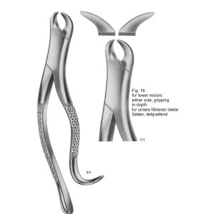 Tooth Extracting Forceps (American Pattern)