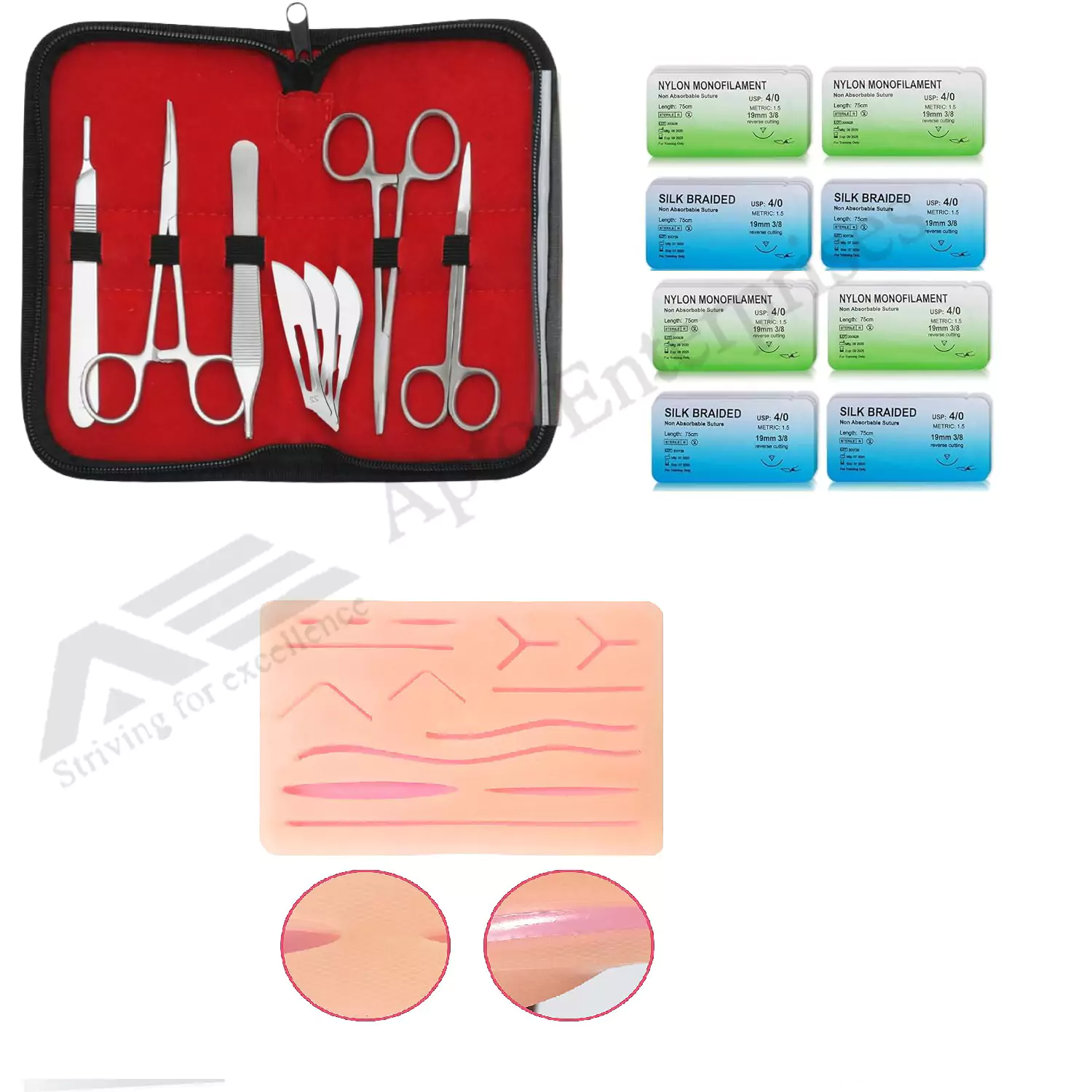 Deluxe Suture Practice Kit with 3D Dental Models